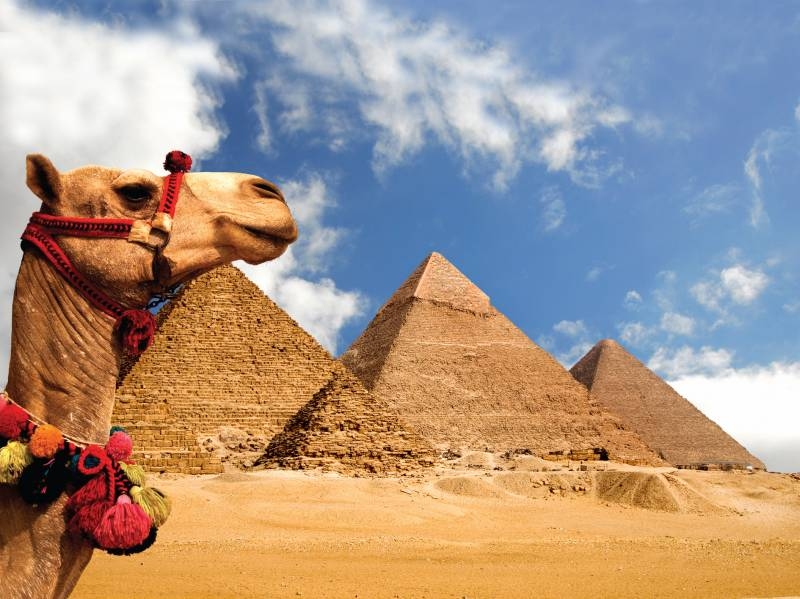 Giza Pyramids in Cairo Giza Pyramids in Cairo